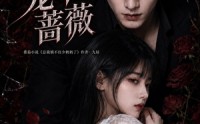 【厉先生的笼中蔷薇】100集高清短剧免费畅看