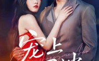 【宠上眉梢】51集短剧免费在线观览