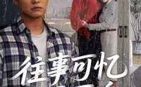 【往事可忆不可追】31集短剧极速播放全集