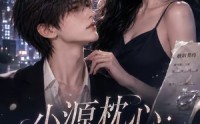 【小源枕心：未说出口的话】84集短剧在线高清观看