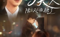 【报告夫人陆总又在撒糖了】69集短剧高清资源在线观看