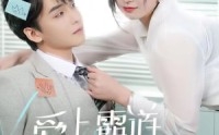 【爱上霸道女总裁】73集完整剧情在线观看不卡顿