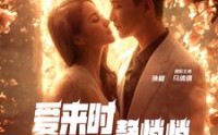 【爱来时静悄悄】104集短剧全集在线观看不卡顿