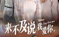 【来不及说我爱你】66集高清短剧在线观看无删减