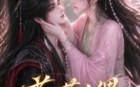【花茶人偶苗疆少主他又争又抢第三季】64集短剧全集免费畅看