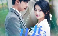 【闪婚热恋总裁老公宠翻天】80集短剧全集在线观看，精彩不容错过