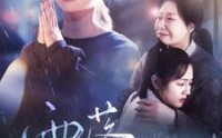 【雨落尘归】80集高清短剧全集在线流畅观看