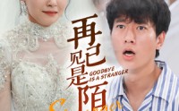 【归来的星光】55集短剧免费观看，全集无广告