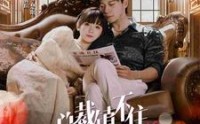 【总裁镇不住少奶奶】101集极速版短剧在线观看
