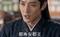 【郡王他又争又抢】70集短剧免费在线直看