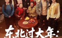 【东北过大年：马到成功】78集短剧在线高清观看