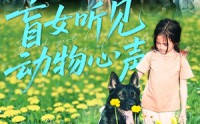 【盲女听见动物心声】61集免费在线短剧全集赏