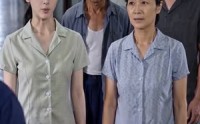 【泼辣媳妇撑起一个家】52集短剧在线高清赏观