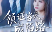 【领证当天成陌路】39集短剧免费在线尽情观看