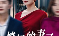 【愤怒的妻子】30集高清短剧全集在线流畅观看