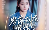 【零落成泥碾作尘】60集短剧高清在线，随时随地观看