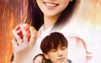【玫瑰陷入火焰里】60集短剧完整版在线观看不卡顿