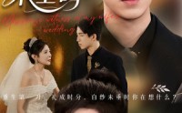 【老婆婚礼，我当证婚人&老婆婚礼我当证婚人&白纱未垂时】54集免费短剧在线全集畅看