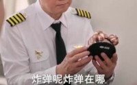 【退休返聘之大夏机长】98集短剧在线全集免费看