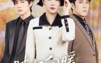 【时归向暖不知秋】51集全集短剧免费播放
