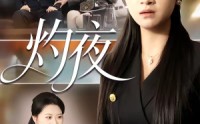 【灼夜】78集精彩短剧免费在线赏看