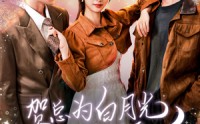 【贺总为白月光取消订婚，我不嫁了】105集剧情解析版在线观看