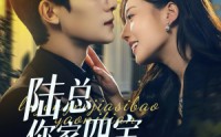 【陆总你家四宝要逆天】84集短剧在线观看，全集免费不容错过