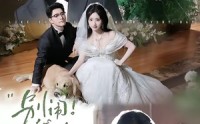 【别闹！我的钟秘书】84集精彩短剧在线免费畅看