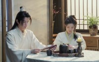 【丫鬟不好惹（20集）】20集短剧免费观看，无需会员
