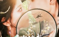 【千岁护我渡流年】80集高清短剧免费在线畅看