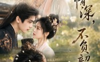 【一履情深，不负韶华】85集热门短剧免费在线赏