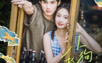 【小狗抓蝴蝶】75集高清短剧全集在线流畅观看