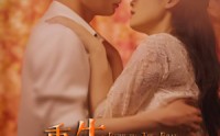 【重生逆袭之路】67集精彩短剧在线观看不停歇