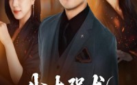 【我本强龙只是低调】70集短剧在线免费全集览