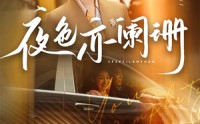 【夜色亦阑珊】65集短剧免费观看完整版