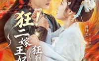 【狂！二嫁王妃狂到没边了】72集免费短剧在线高清看