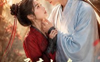 【柔意相逢：铁血倾心】101集短剧免费全集在线赏看