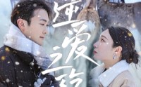 【逆爱之殇】60集短剧全集免费高清视频观看