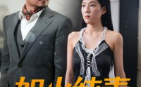 【如火纯青】45集短剧完整版在线观看无广告