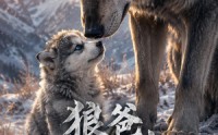 【狼爸别吃我】30集短剧免费全集赏看