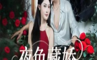 【夜色藏娇】65集在线短剧免费全集欣赏