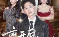 【离开后，才知有他】73集短剧免费全集在线赏