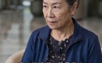 【退单一时爽，婚礼猪圈场】45集短剧免费全集观映