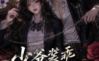 【少爷装乖没用】40集短剧完整版免费观看