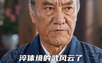 【金鳞凶猛】80集短剧全集免费看不停