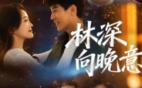 【林深向晚意】70集优质短剧免费在线观看