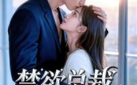 【禁欲总裁的小哭包】39集短剧免费全集赏映