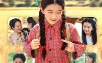 【锦鲤少女】72集短剧全集在线，高清画质免费欣赏