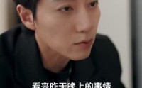 【总裁他每天都想复婚】99集完整剧情在线观看不收费