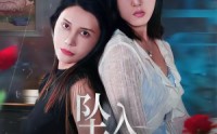 【坠入危险关系】71集优质短剧在线免费览